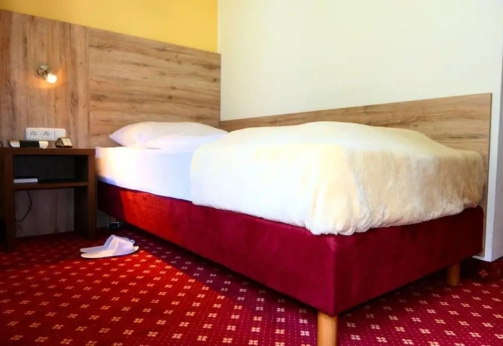 Standard Single room with balcony and with mountain view