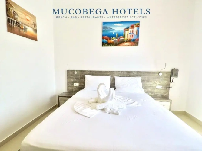 Standard Double room with balcony and with sea view