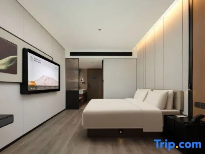 Executive Double Family room