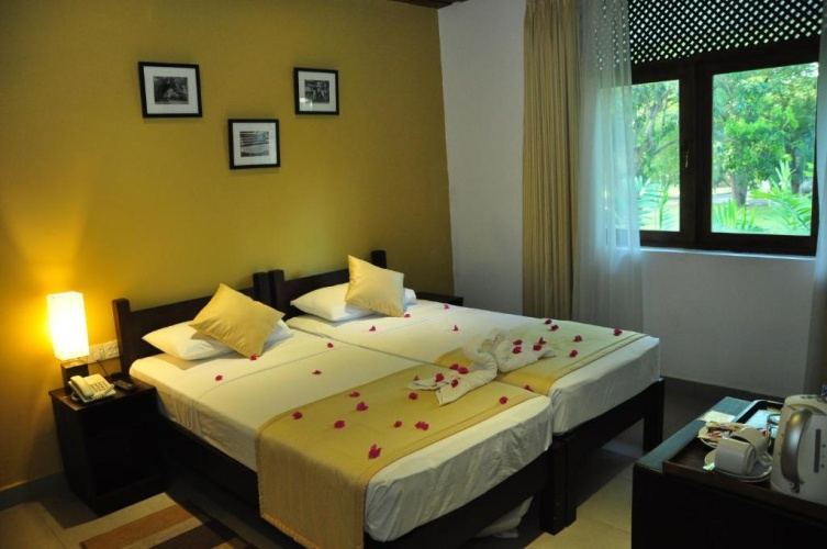 Superior Twin room with view