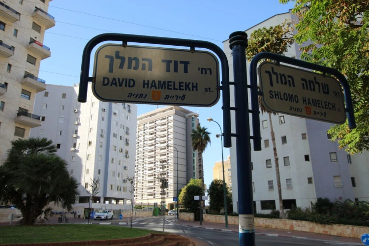 The Seasons King David apartment