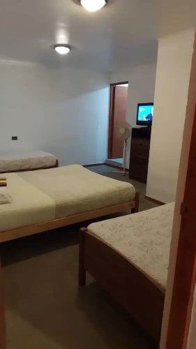 Standard Triple Family room