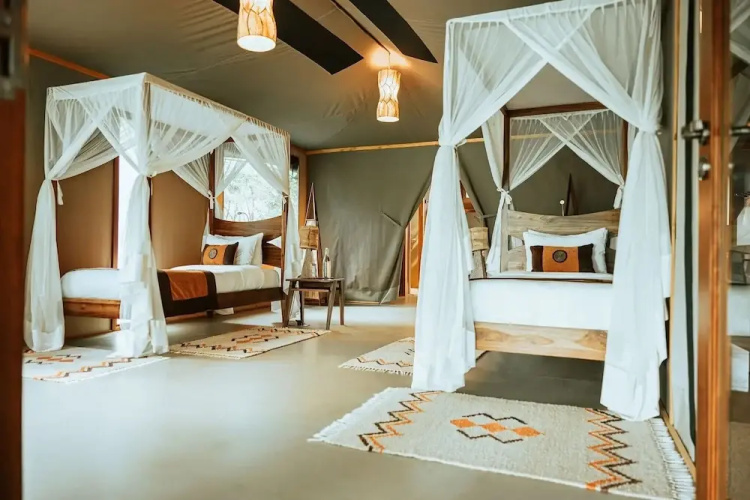 Soroi Luxury Migration Camp