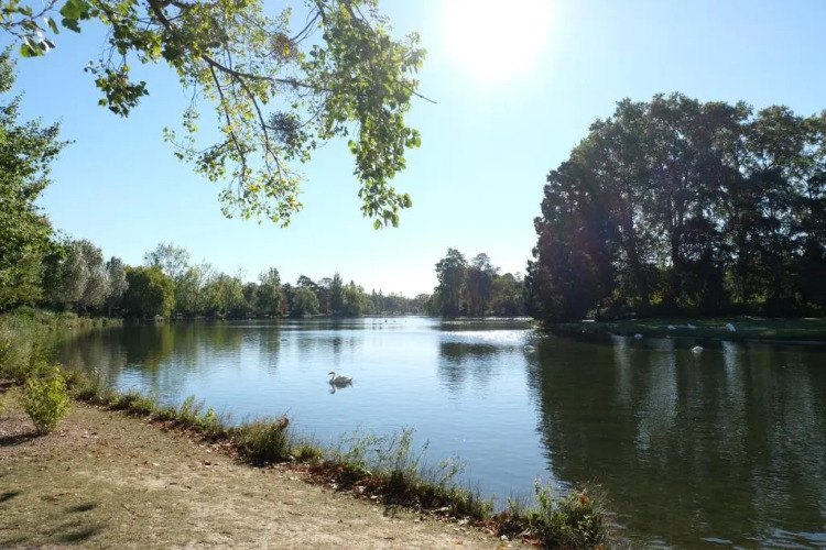 ibis Daumesnil Porte Dorée - Image 5