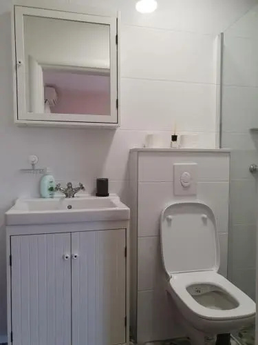 Apartment Carevic