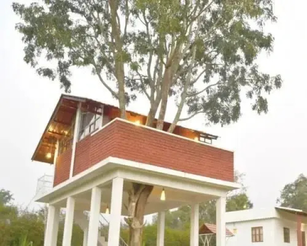 Jungle Inn Resorts