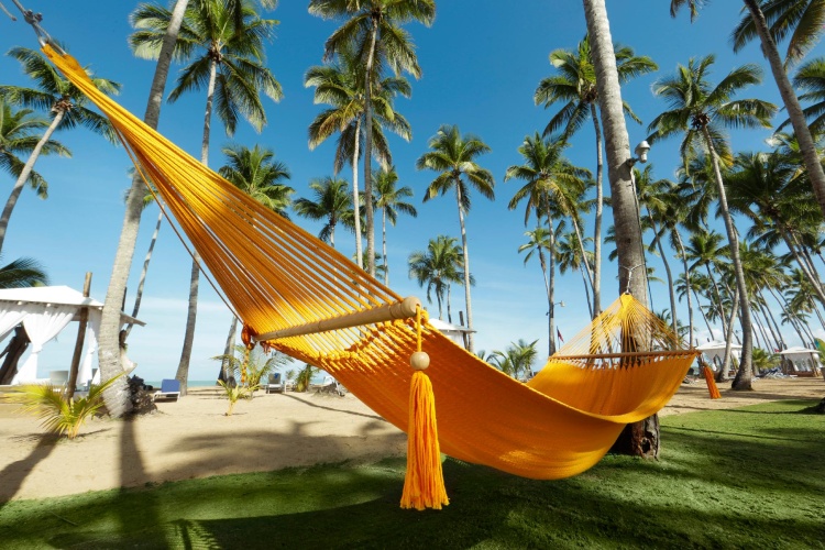 Viva V Samana by Wyndham, A Trademark Adults All Inclusive photo 26