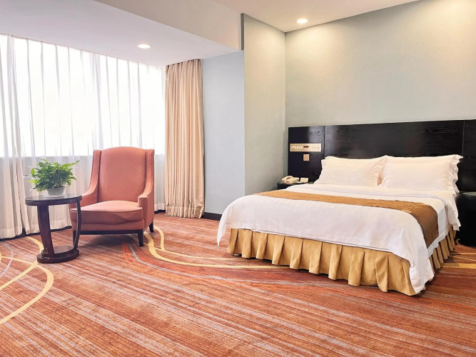 Skyline Plaza Hotel