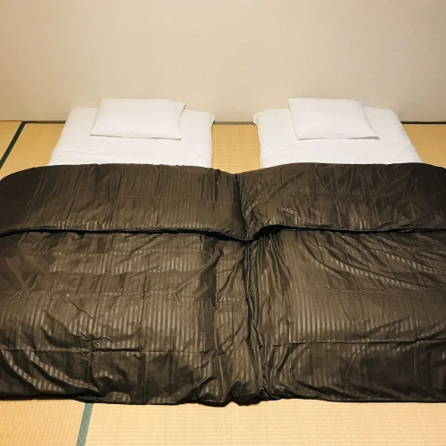 Japanese-Style room