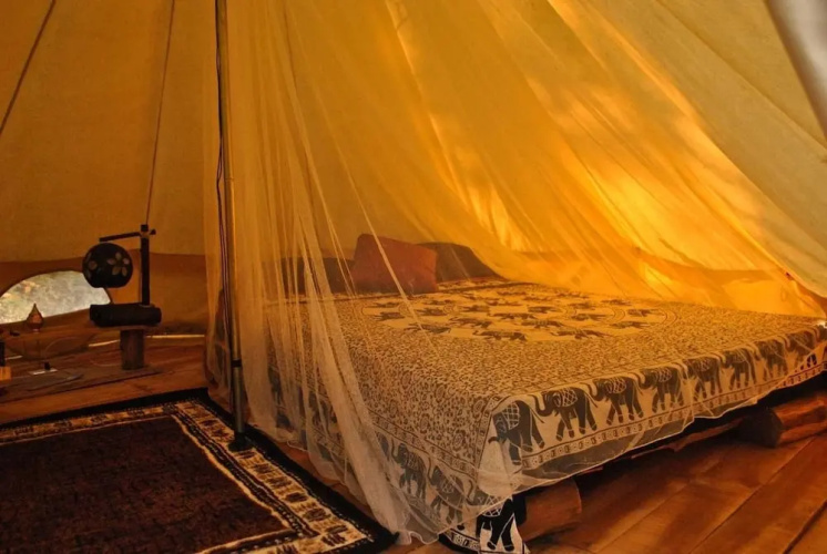 Dreamsea Glamping