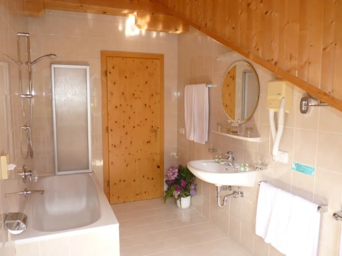 Economy Twin Attic room