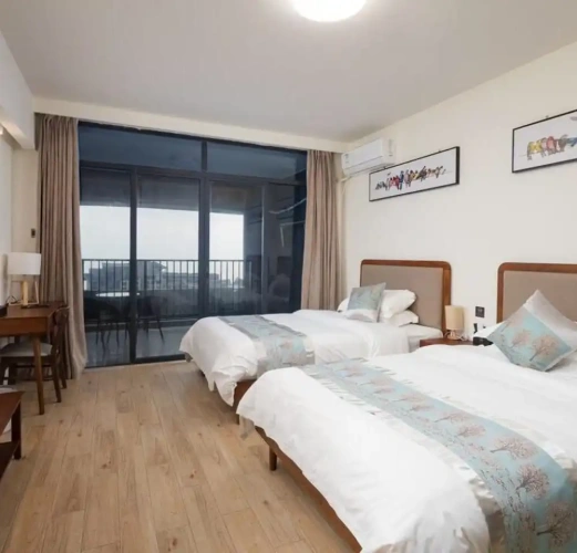Deluxe Twin room with city view