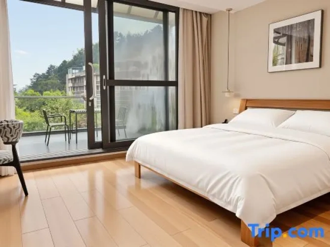 Standard Double room with view
