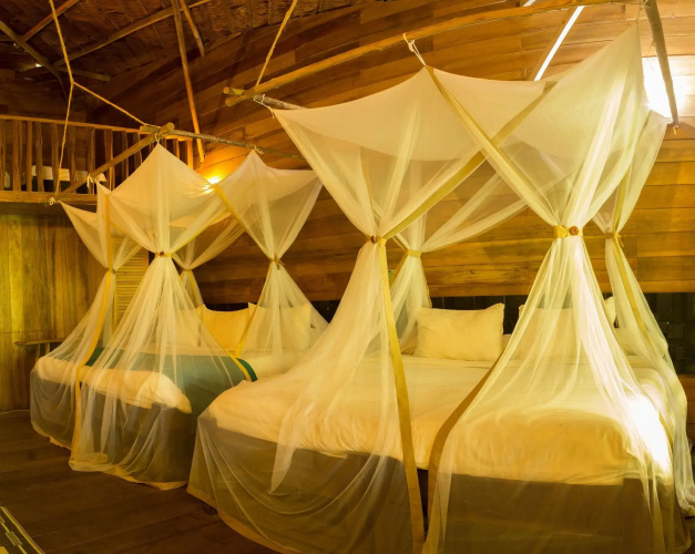 Hotel Amazon by On Vacation
