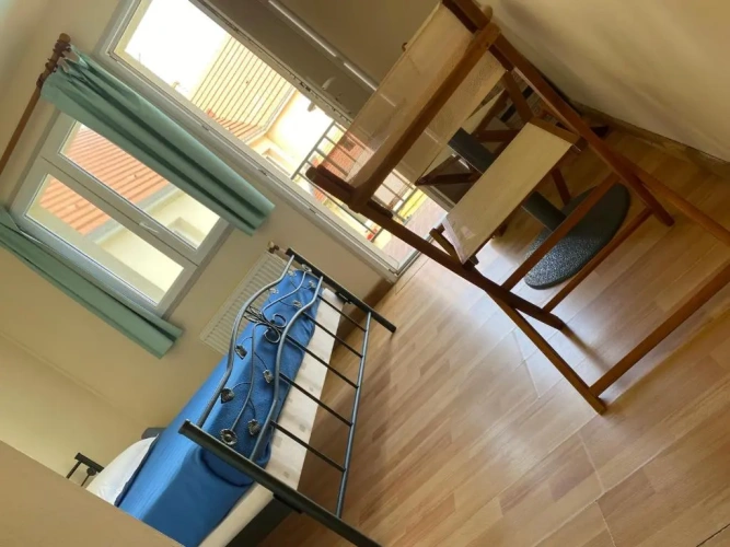 Standard Double room with balcony and with sea view