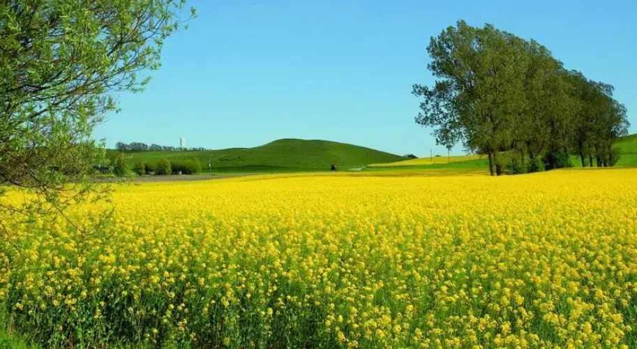 Vallebergaslätt