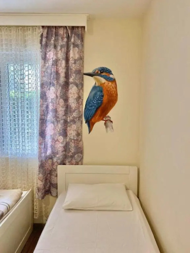 Apartmant Nik