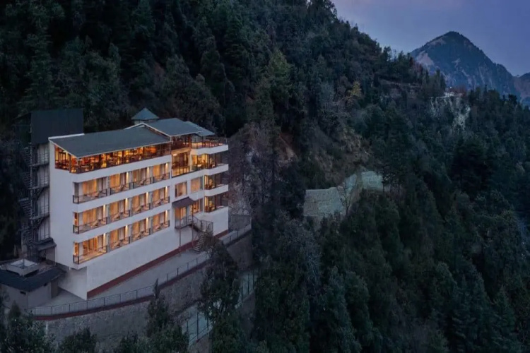 Jüsta Hollow Oak, Mussoorie - Mussoorie