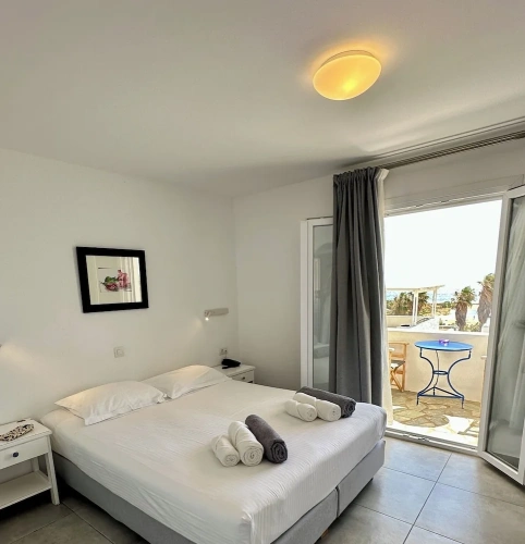 Standard Double room with balcony and with sea view