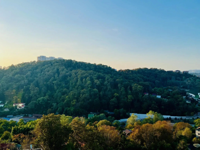 Фотография номера квартиры Апартаменты в ЖК Сочи-Парк ГОСТИ-24