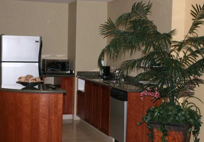 Hampton Inn Tropicana photo 46
