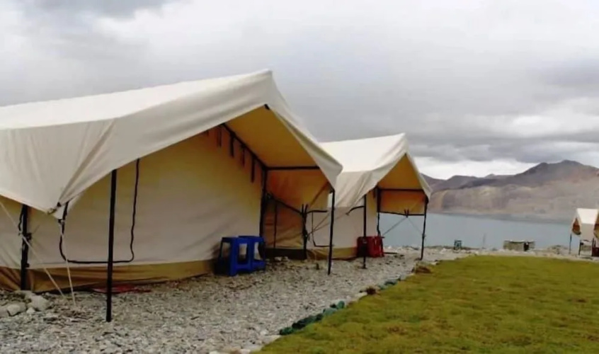 Wonderland Camps