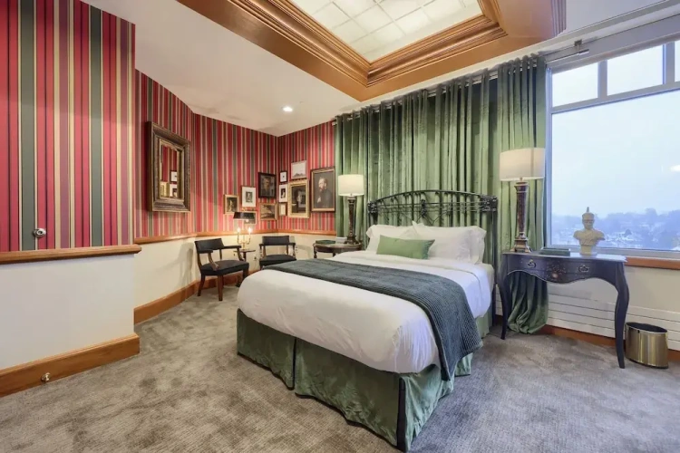 Luxury Double room with city view