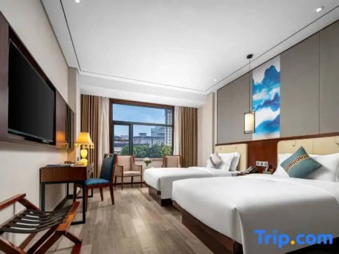 Superior Twin room with city view