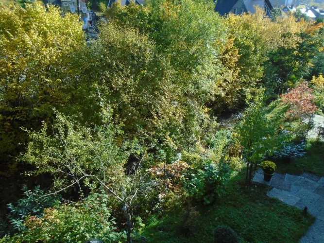 Apartment Nieder