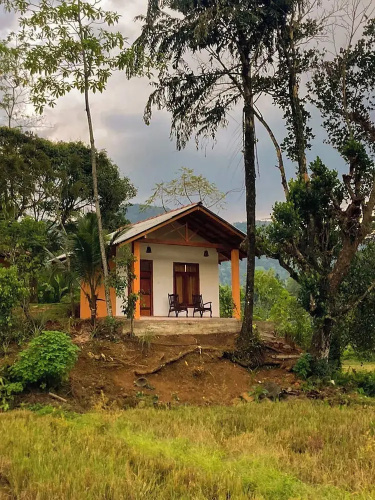 Sinharaja Serenity Retreat