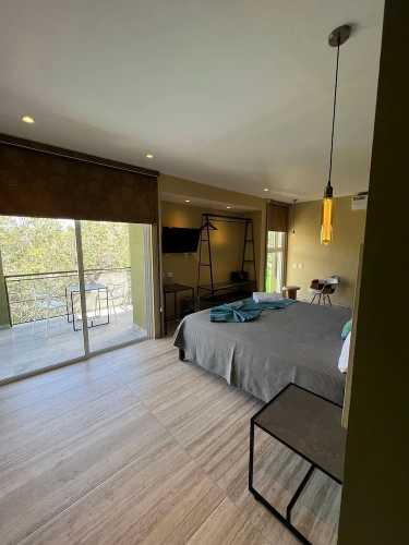 Deluxe room with pool view