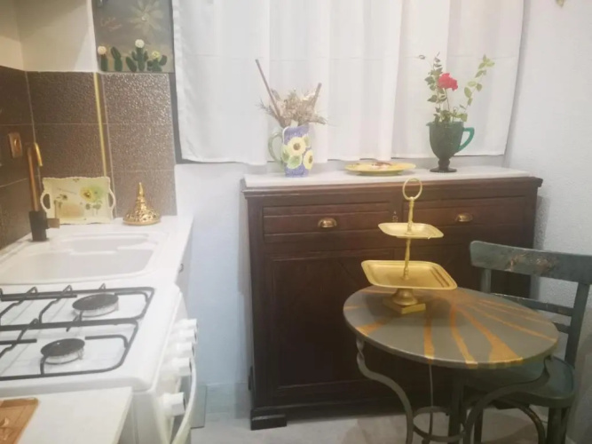 Cactus Suite