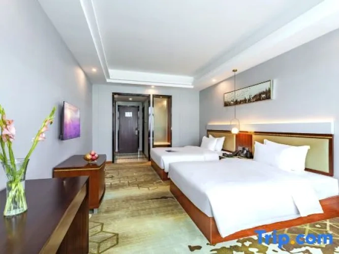 Standard Twin room with city view