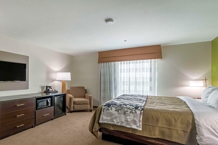 1 Bedroom Suite