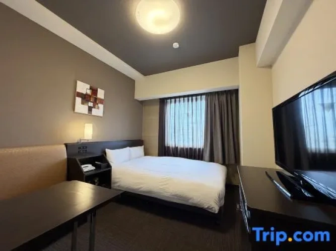 Comfort Single room
