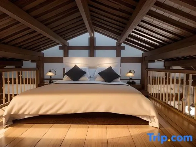 Standard Attic room