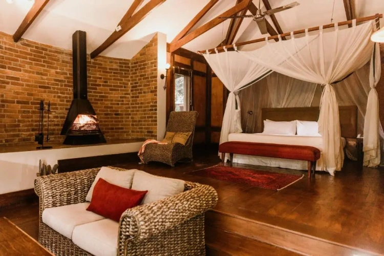 Standard room with view