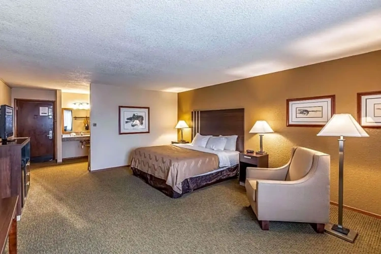 Standard Double room with pool view