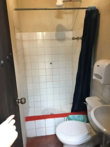 Greenhouse Hostel