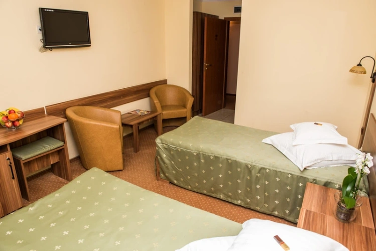 Standard Single room with view