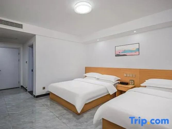 Standard Twin room with view