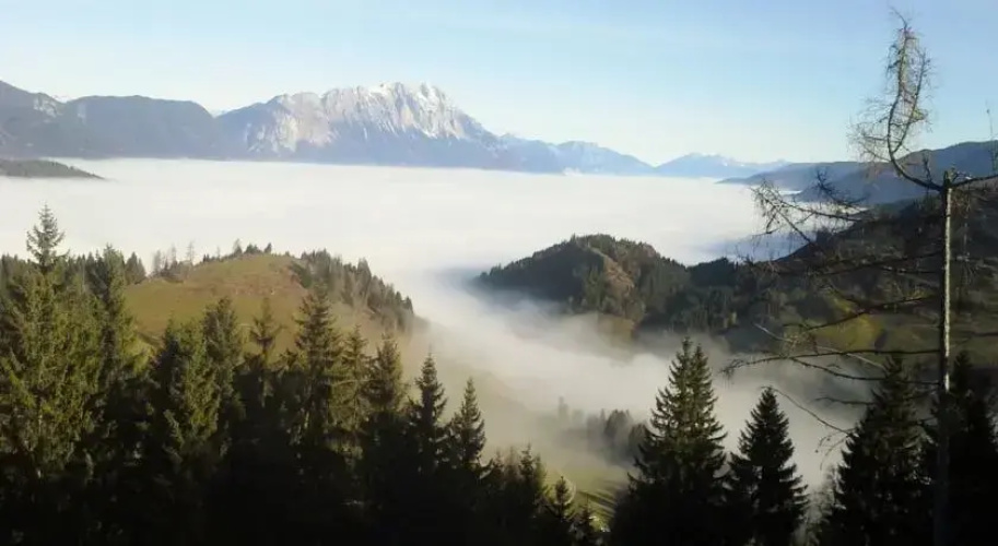 Die Morgensonne