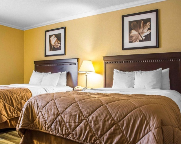 Quadruple Suite
