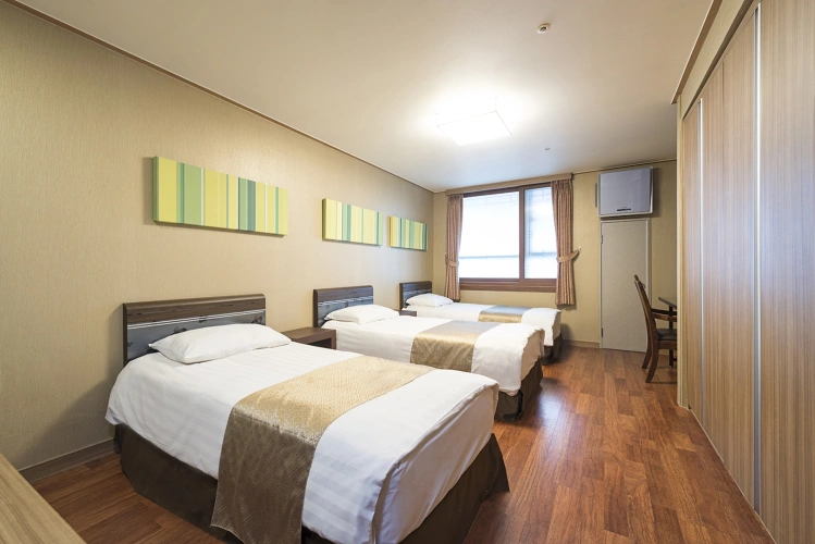 Deluxe Triple room