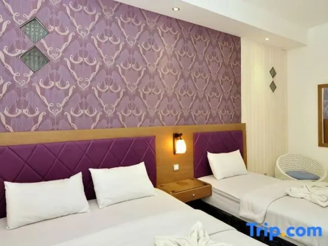 Standard Triple Family room