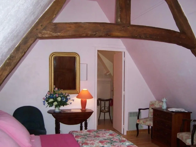 Standard Double room with garden view