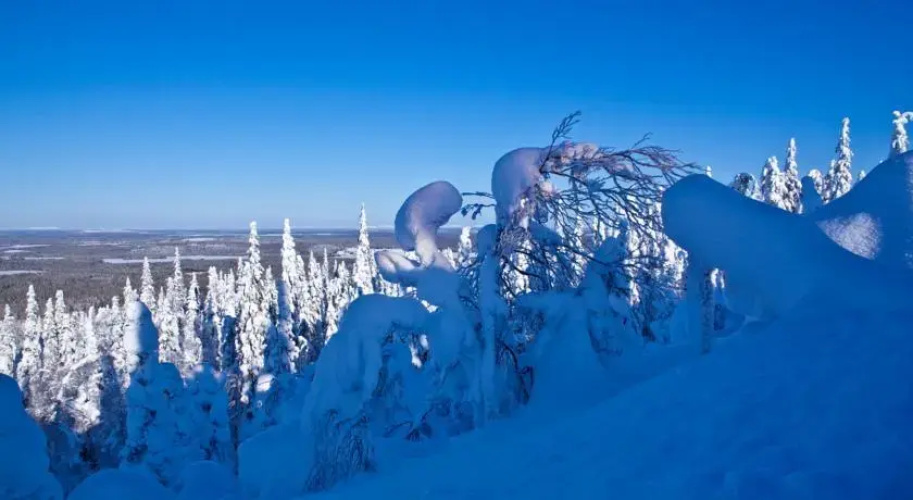 Star Cottages Ruka