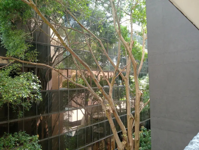 Hotel Rulay Medellin