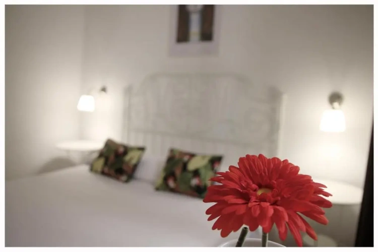 Standard Double room with balcony and with view