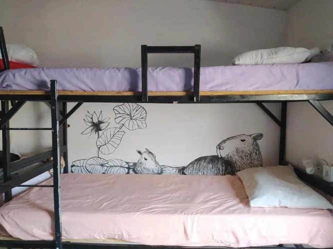 Bed in Dorm